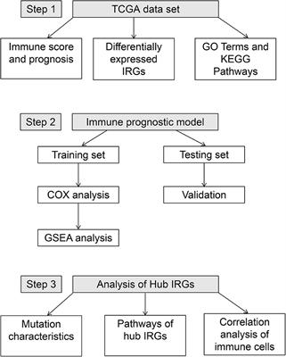 Immune-Stromal Score Signature: Novel Prognostic Tool of the Tumor Microenvironment in Lung Adenocarcinoma